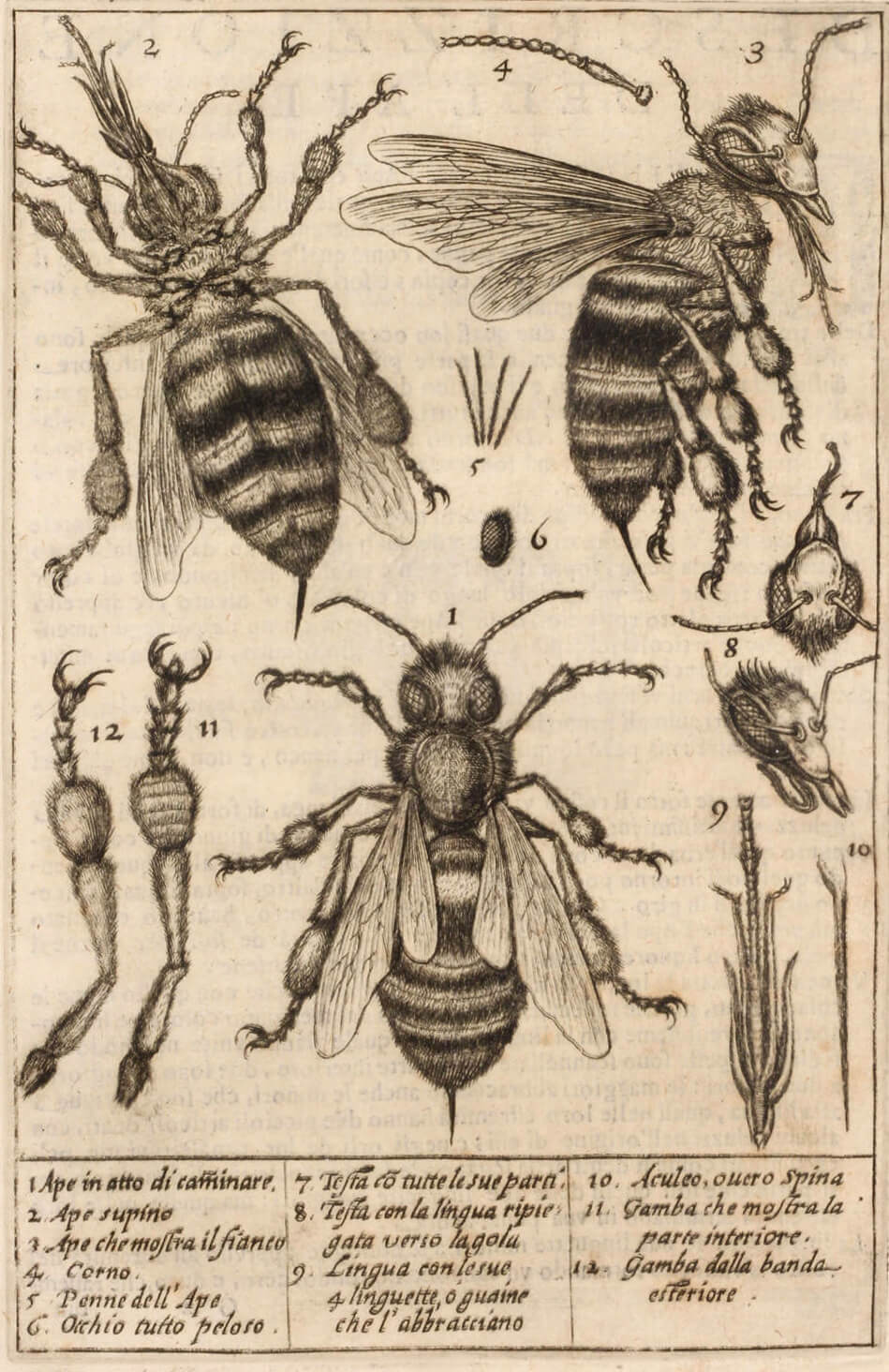 Zoom sur l’invisible